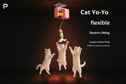 PawNear Interactive Cat To