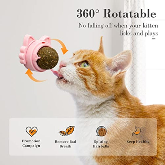 Pawnear CatnipSpin