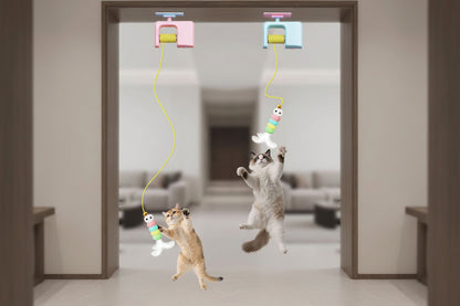 PawNear Interactive Cat To