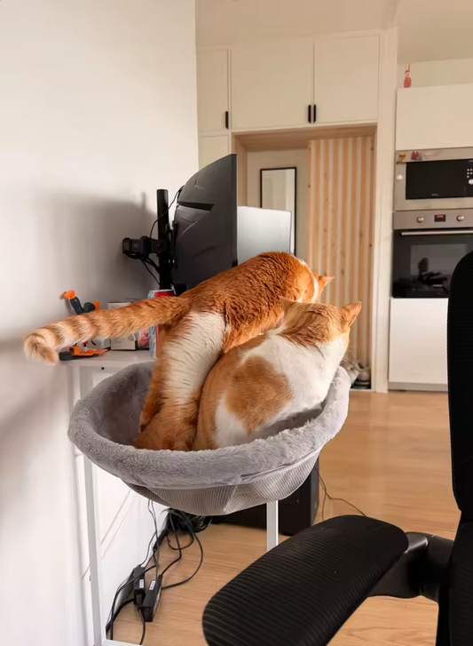 PawNear Desk Cat Nest